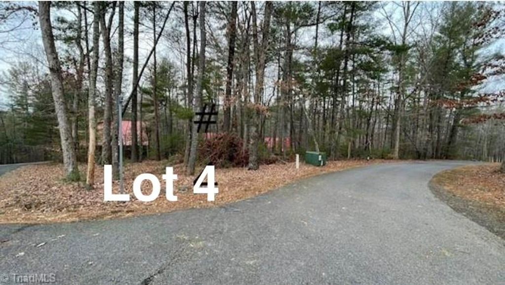 Photo of 4 Reserve Trail #4, Stuart, VA 24171 (MLS # 109059)