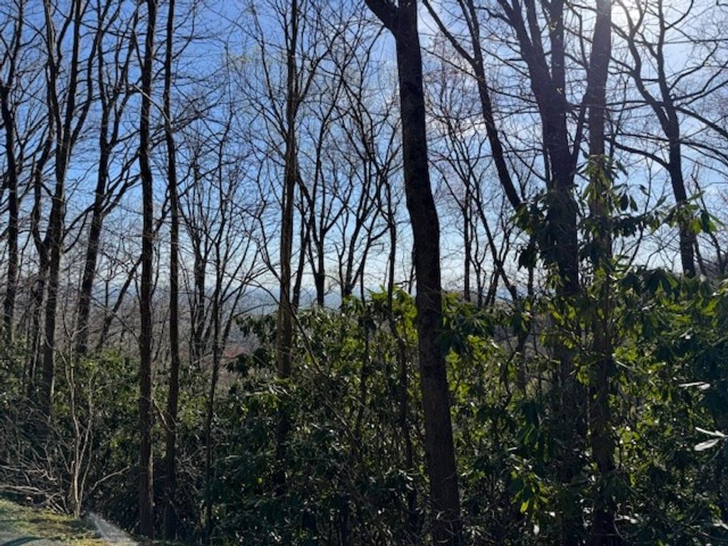Photo of TBD Antler Point #28, Hillsville, VA 24343 (MLS # 99477)