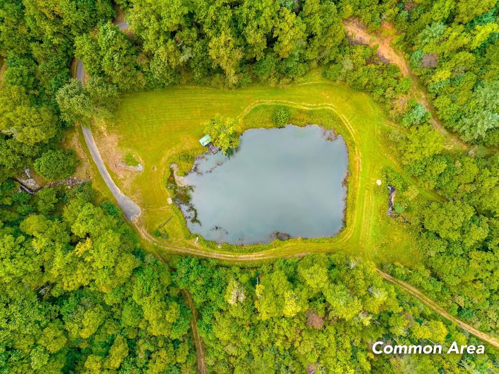 Photo of 5 Old Pond Trl #221-224, 226, Fancy Gap, VA 24328 (MLS # 103839)