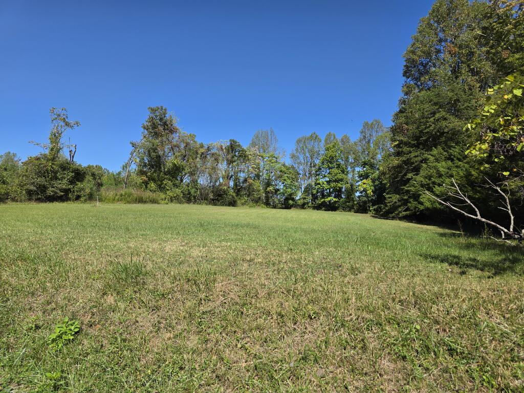 Photo of 147 Hardin Reynolds Rd, Critz, VA 24082 (MLS # 112216)