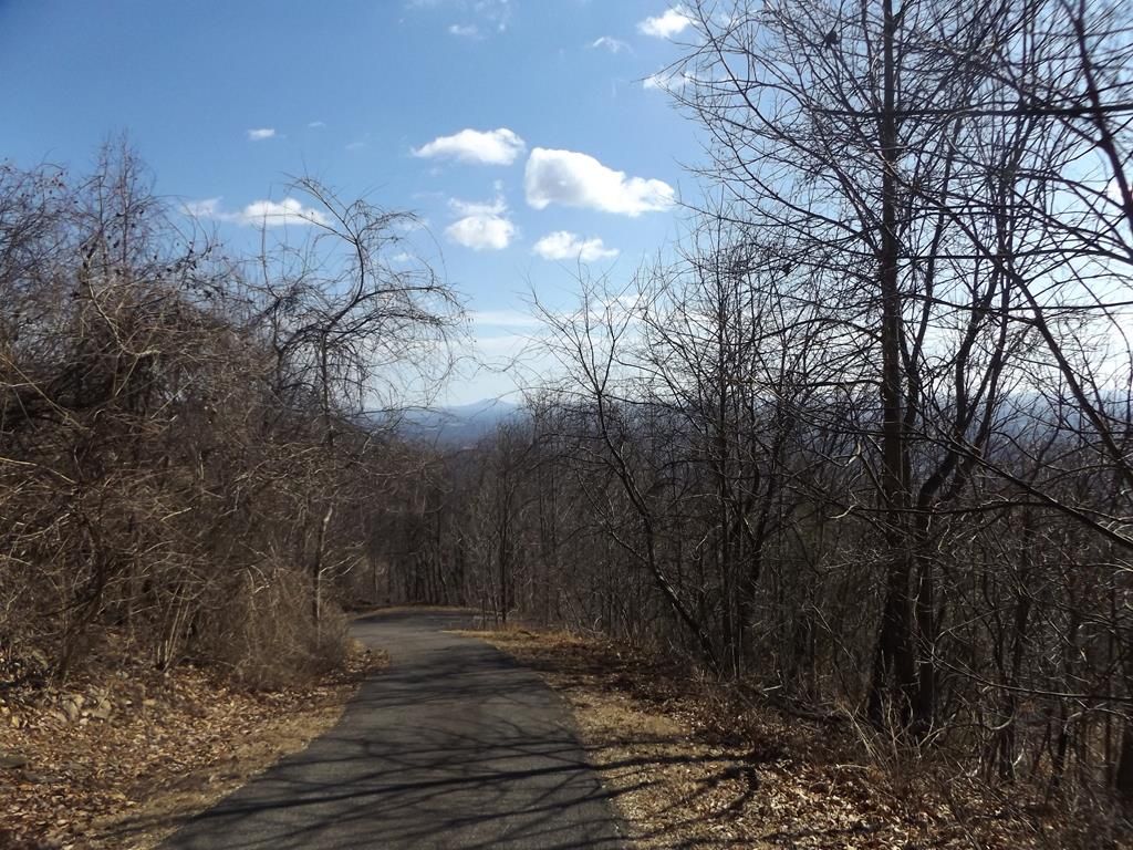 Photo of TBD Morning Side Trl #9, Fancy Gap, VA 24328 (MLS # 110076)
