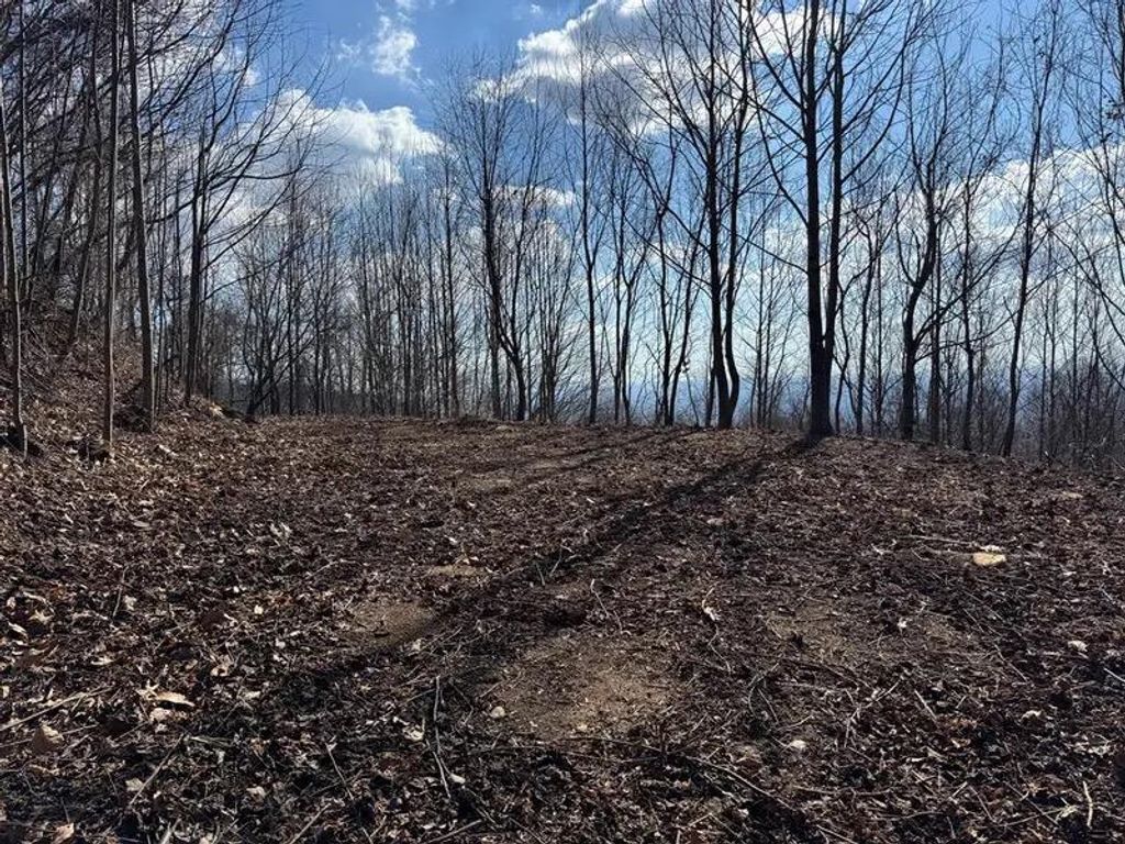 Photo of TBD Morning Side Trl #9, Fancy Gap, VA 24328 (MLS # 110076)