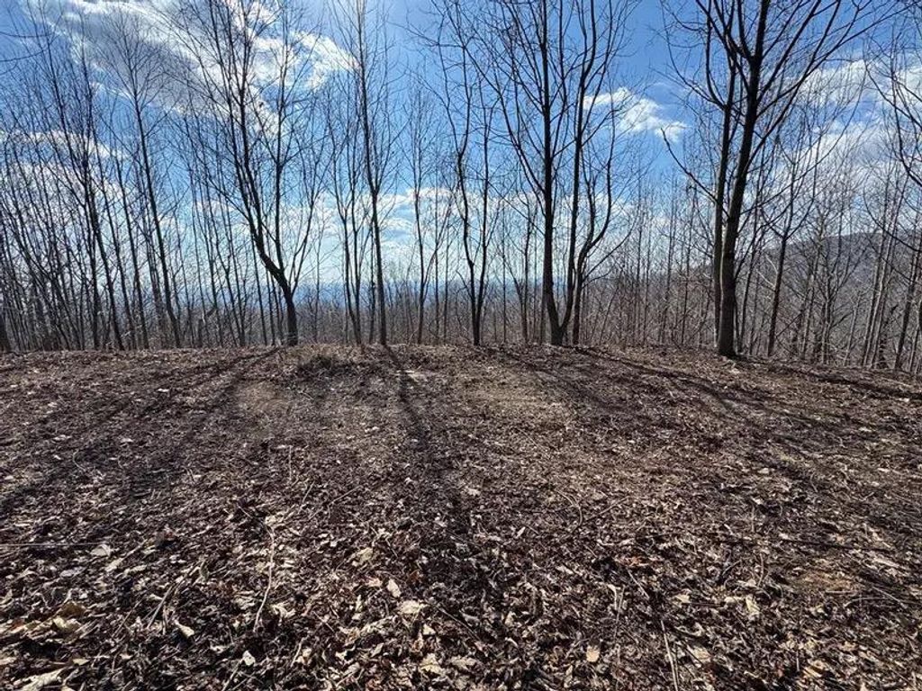 Photo of TBD Morning Side Trl #9, Fancy Gap, VA 24328 (MLS # 110076)