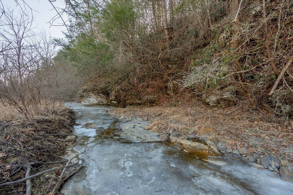 Photo of TBD Kimberling Rd #10A, 10B2, Bland, VA 24315 (MLS # 104680)