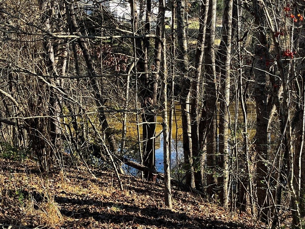 Photo of 000 Virgilina Circle #32 and 32A, Cana, VA 24317 (MLS # 104454)