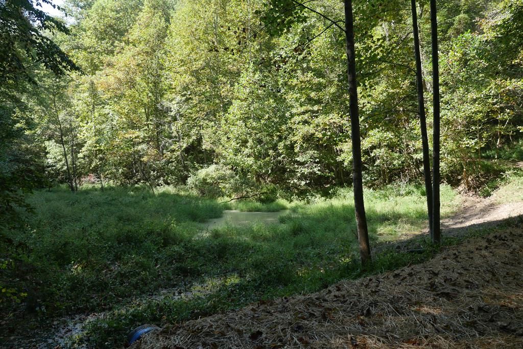 Photo of TBD Upper Possum Creek #1, Gate City, VA 24251 (MLS # 103491)