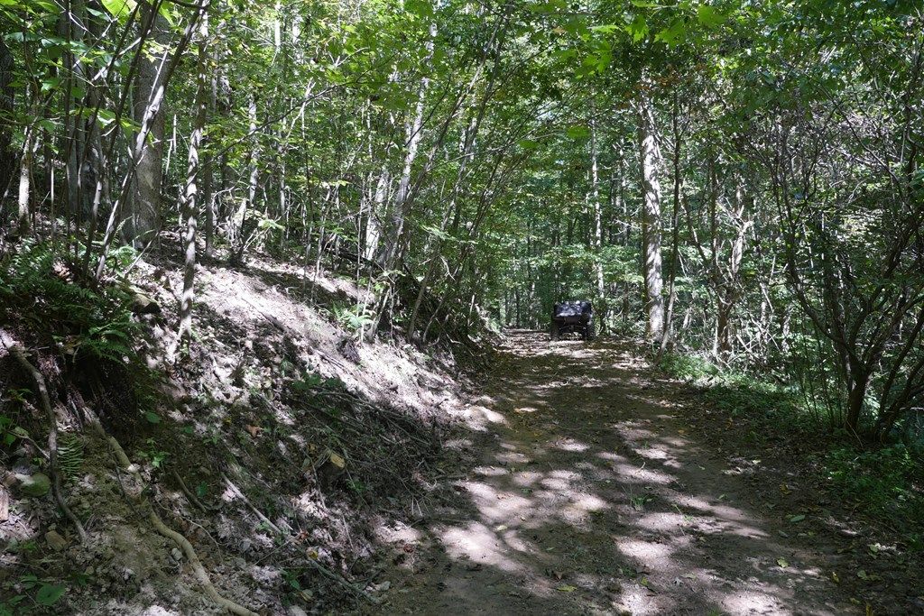 Photo of TBD Upper Possum Creek #1, Gate City, VA 24251 (MLS # 103491)