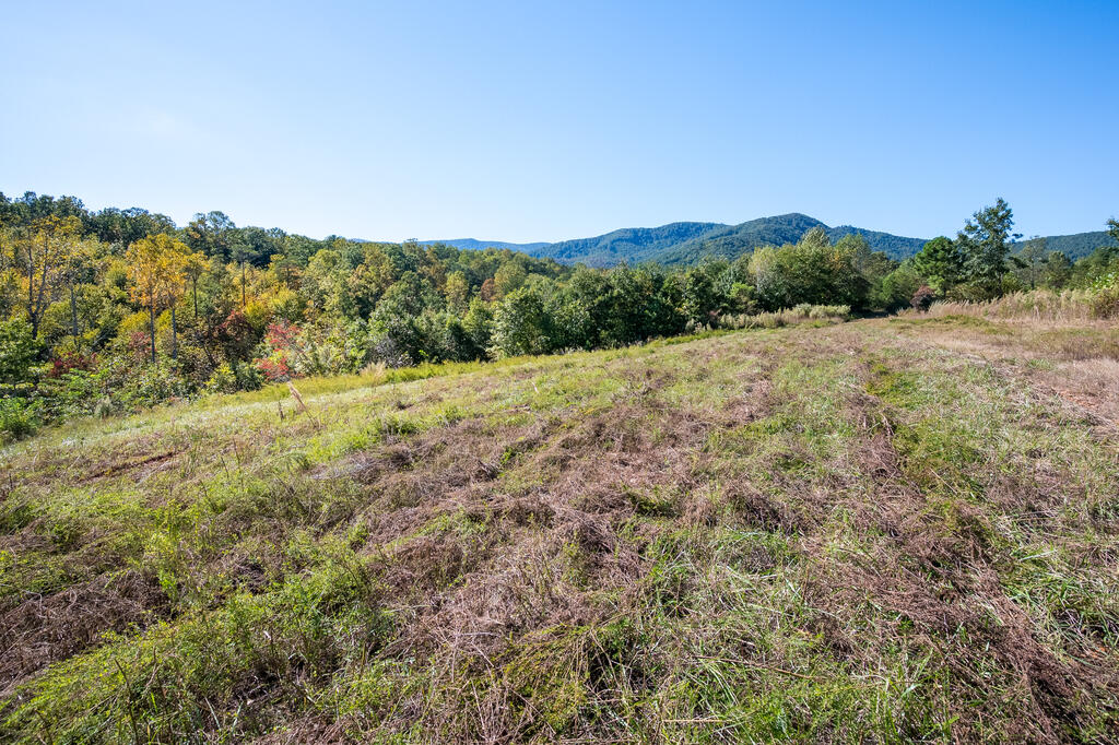 Photo of 401 York Thicket Rd #00, Lambsburg, VA 24351 (MLS # 112279)