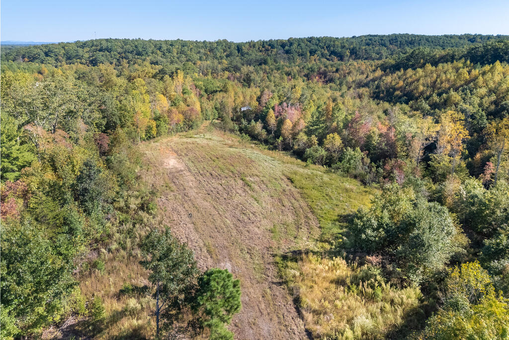 Photo of 401 York Thicket Rd #00, Lambsburg, VA 24351 (MLS # 112279)