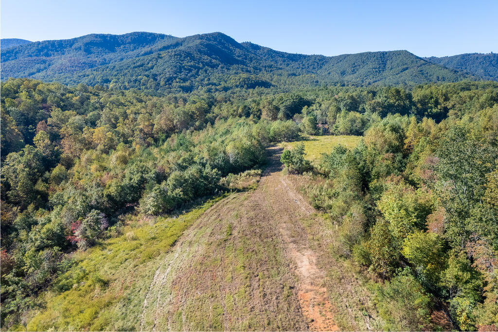 Photo of 401 York Thicket Rd #00, Lambsburg, VA 24351 (MLS # 112279)