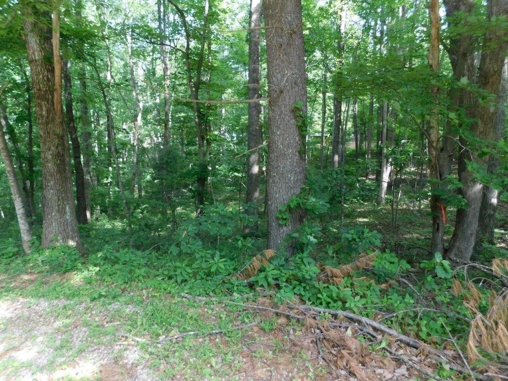 Photo of TBD Scotch Pine Dr #360 &amp; 365, Copper Hill, VA 24079 (MLS # 100294)