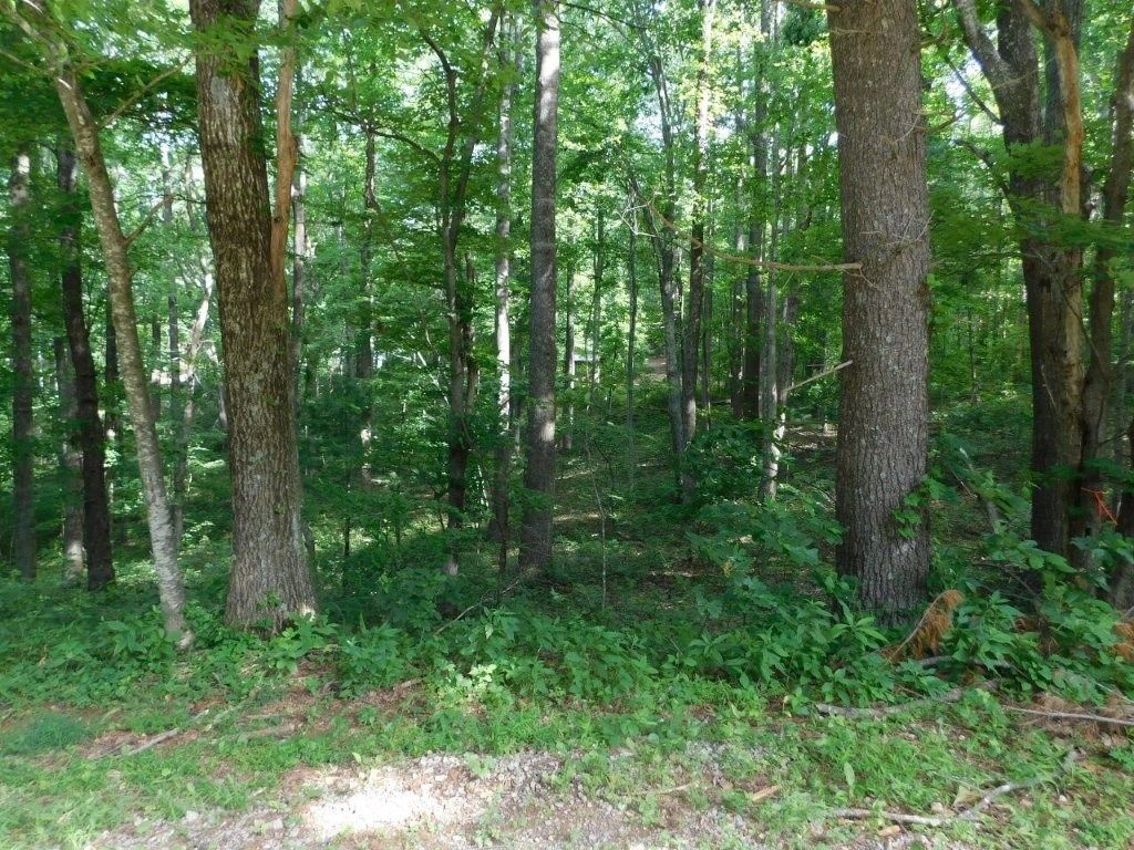 Photo of TBD Scotch Pine Dr #360 &amp; 365, Copper Hill, VA 24079 (MLS # 100294)
