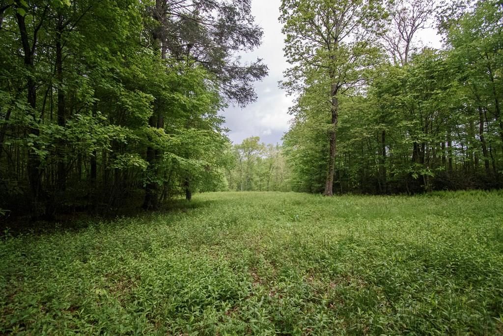 Photo of TBD Keno Rd #134-A-2A, Laurel Fork, VA 24352 (MLS # 109574)