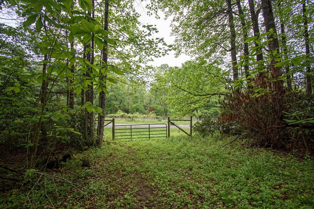 Photo of TBD Keno Rd #134-A-2A, Laurel Fork, VA 24352 (MLS # 109574)