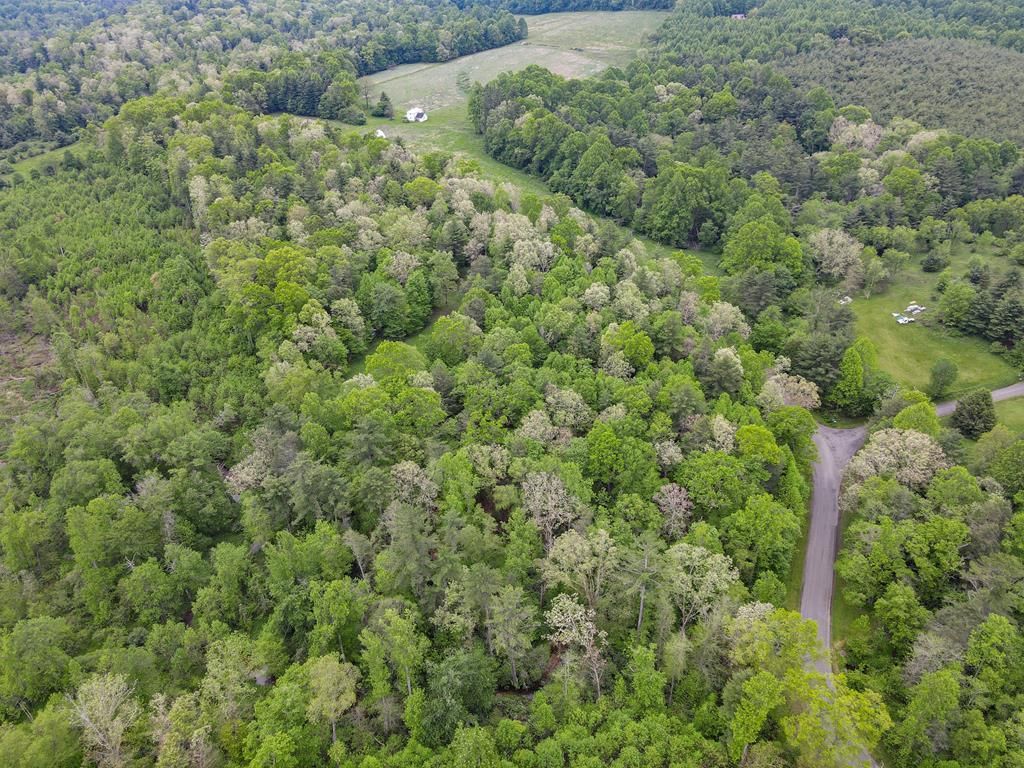 Photo of TBD Keno Rd #134-A-2A, Laurel Fork, VA 24352 (MLS # 109574)