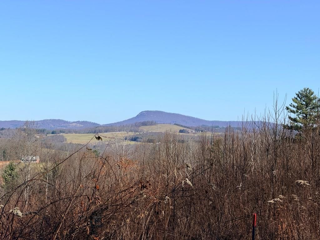 Photo of TBD Keno Rd #102, Laurel Fork, VA 24352 (MLS # 104231)