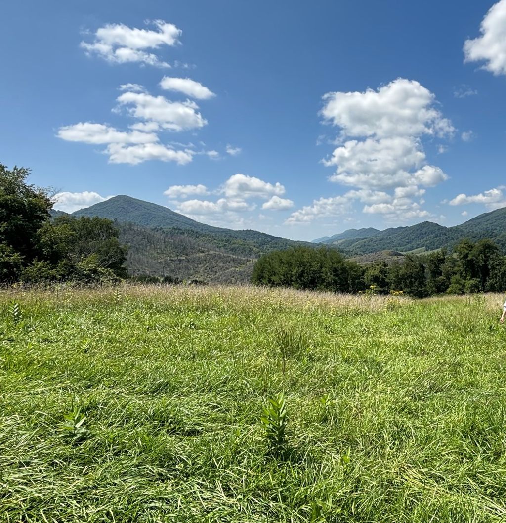 Photo of TBD Crab Orchard Road #29, Tazewell, VA 24651 (MLS # 104321)