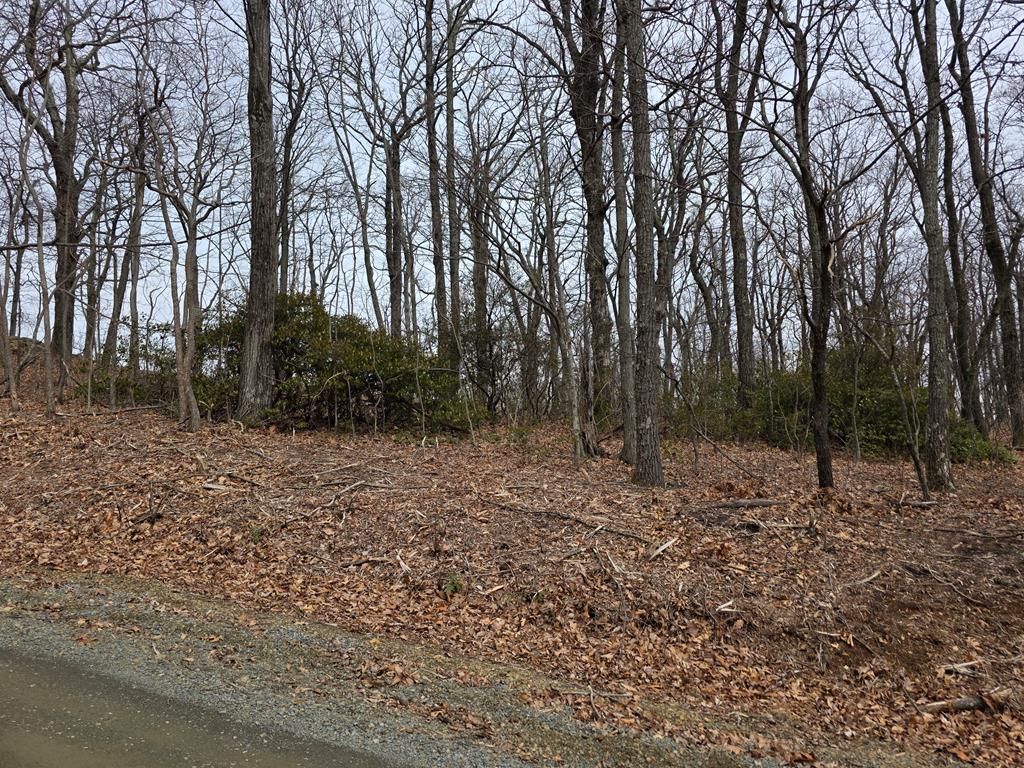 Photo of 8 Edgeview Dr, Meadows of Dan, VA 24120 (MLS # 109117)