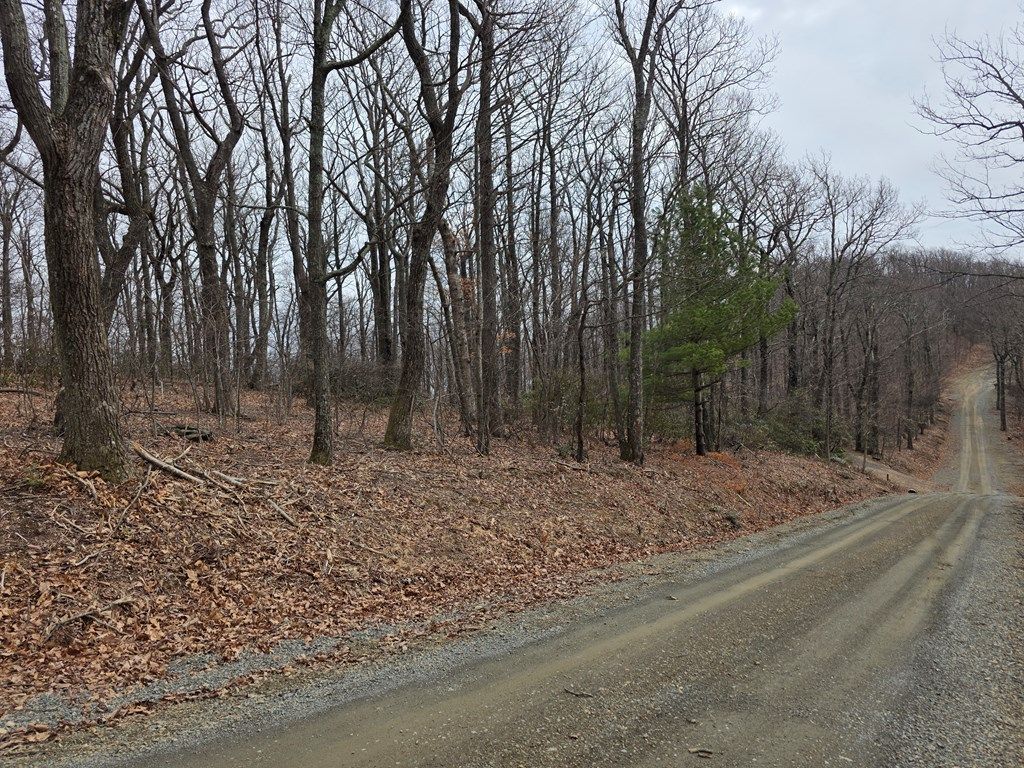 Photo of 8 Edgeview Dr, Meadows of Dan, VA 24120 (MLS # 109117)