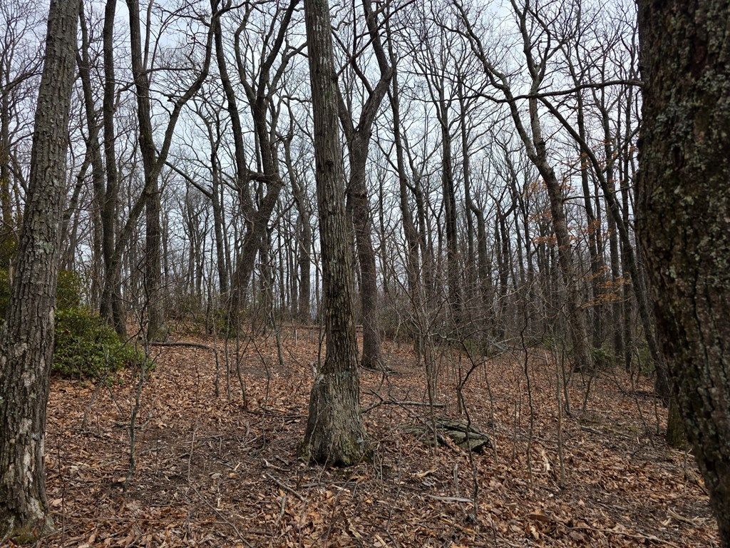 Photo of 8 Edgeview Dr, Meadows of Dan, VA 24120 (MLS # 109117)