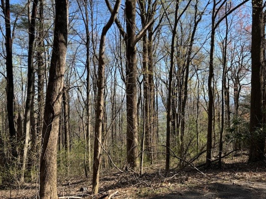 Photo of TBD Buck Hollar Rd #17, Hillsville, VA 24343 (MLS # 99476)