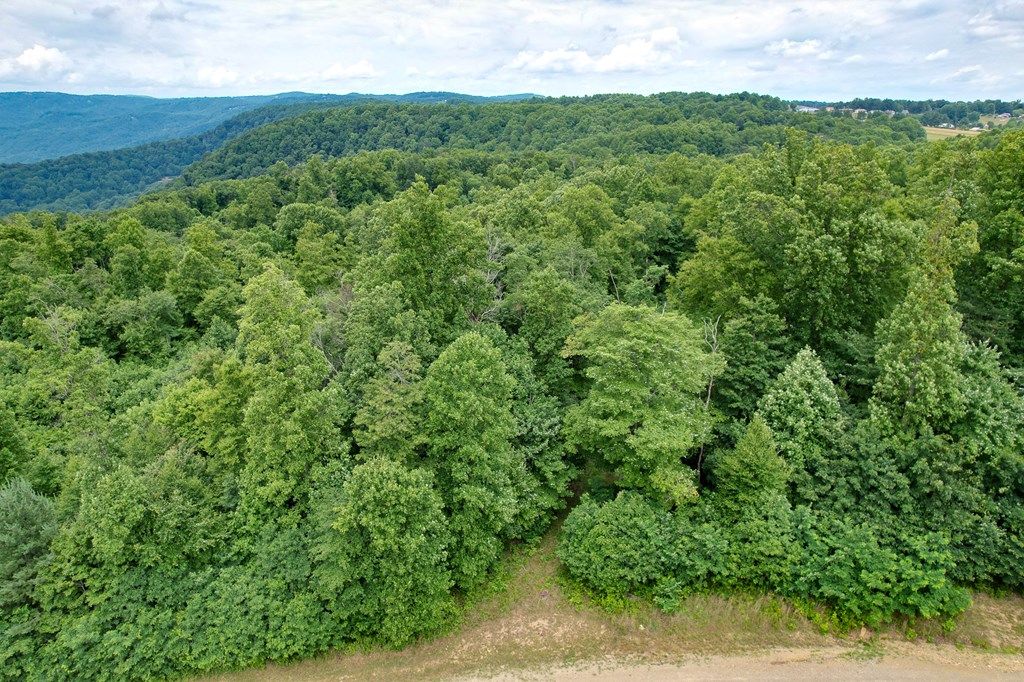 Photo of TBD Pheasant Chase #3812 81 T, Ararat, VA 24053 (MLS # 94363)