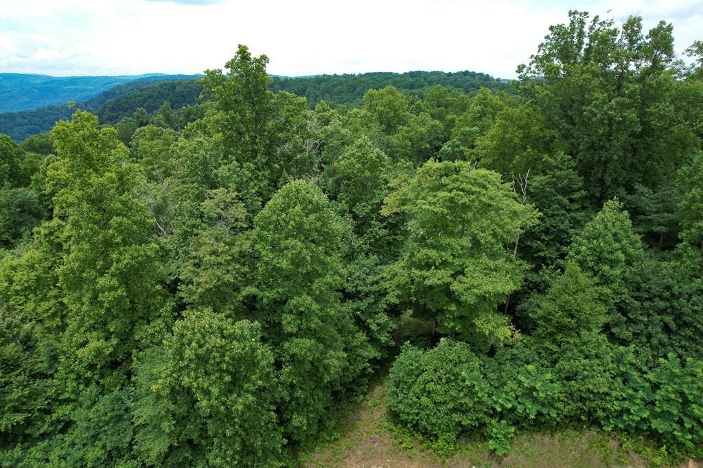 Photo of TBD Pheasant Chase #3812 81 T, Ararat, VA 24053 (MLS # 94363)