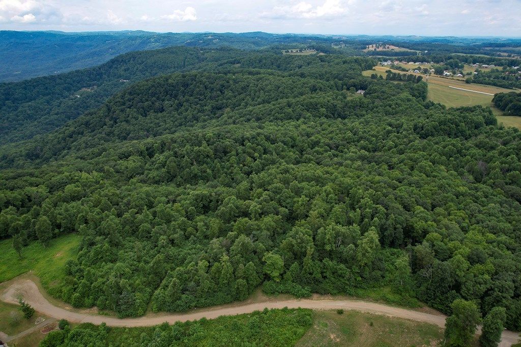 Photo of TBD Pheasant Chase #3812 81 T, Ararat, VA 24053 (MLS # 94363)