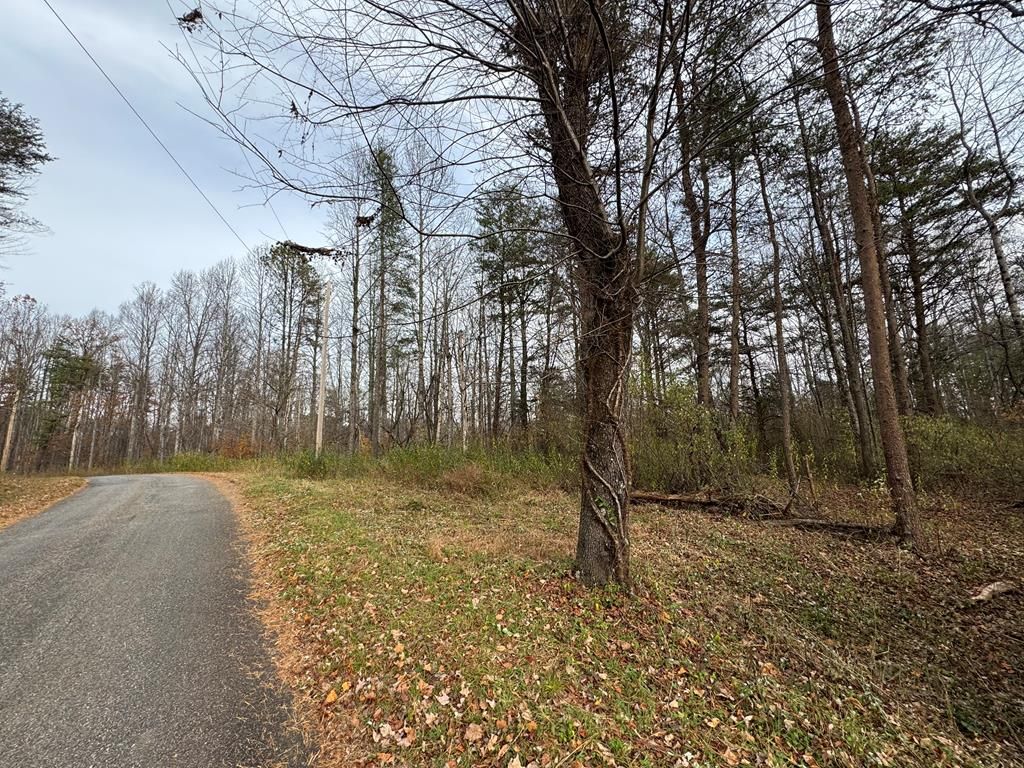 Photo of 0 Pine Knoll Farms Loop #27, Stuart, VA 24171 (MLS # 104190)