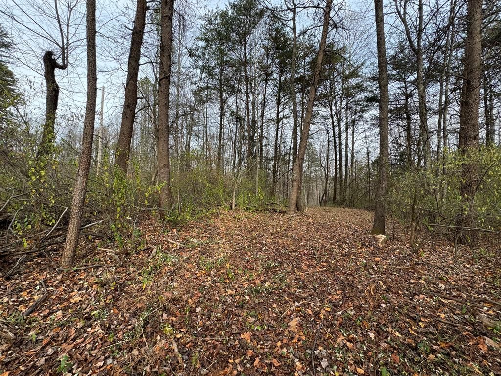 Photo of 0 Pine Knoll Farms Loop #27, Stuart, VA 24171 (MLS # 104190)