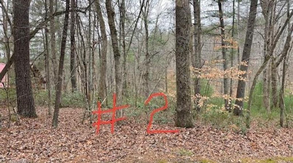 Photo of 2 Reserve Trail #2, Stuart, VA 24171 (MLS # 87203)