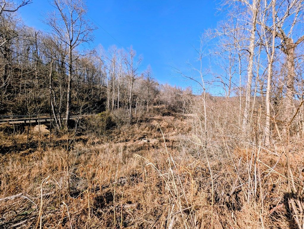 Photo of TBD Simon Lane #193, Ararat, VA 24053 (MLS # 104474)