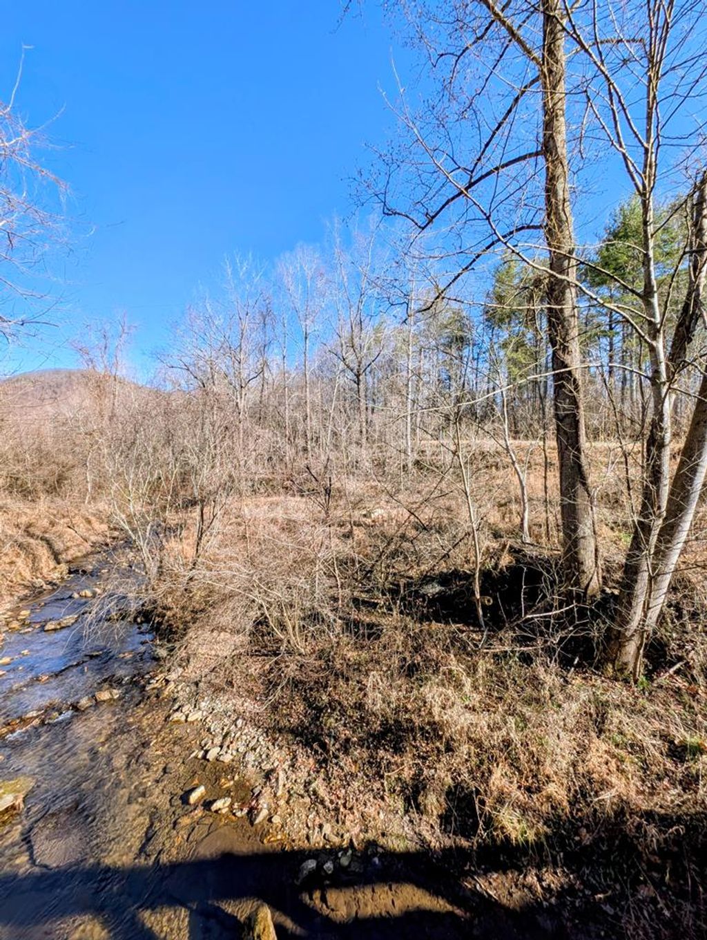 Photo of TBD Simon Lane #193, Ararat, VA 24053 (MLS # 104474)