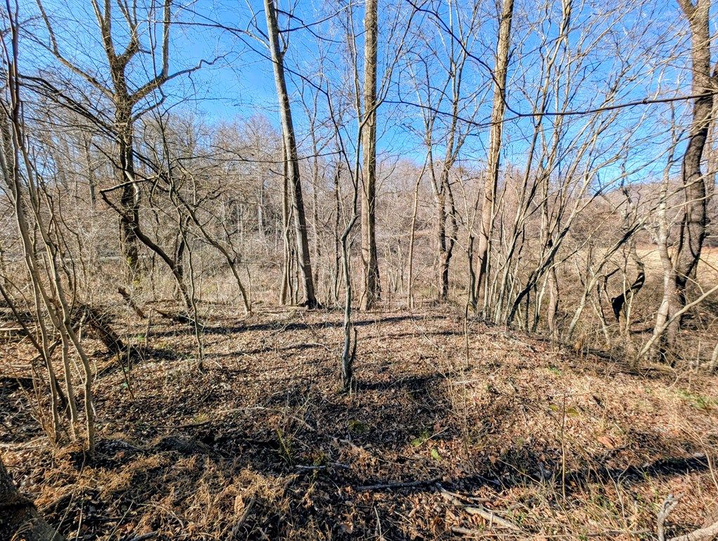 Photo of TBD Simon Lane #193, Ararat, VA 24053 (MLS # 104474)