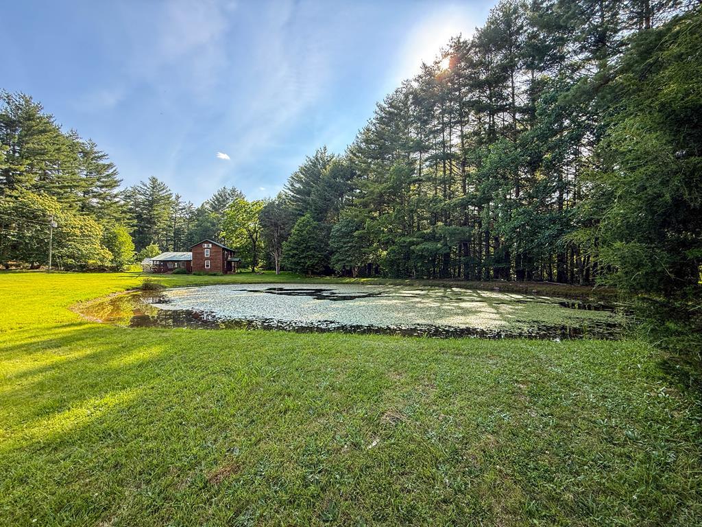 2486 Laurel Fork Rd.