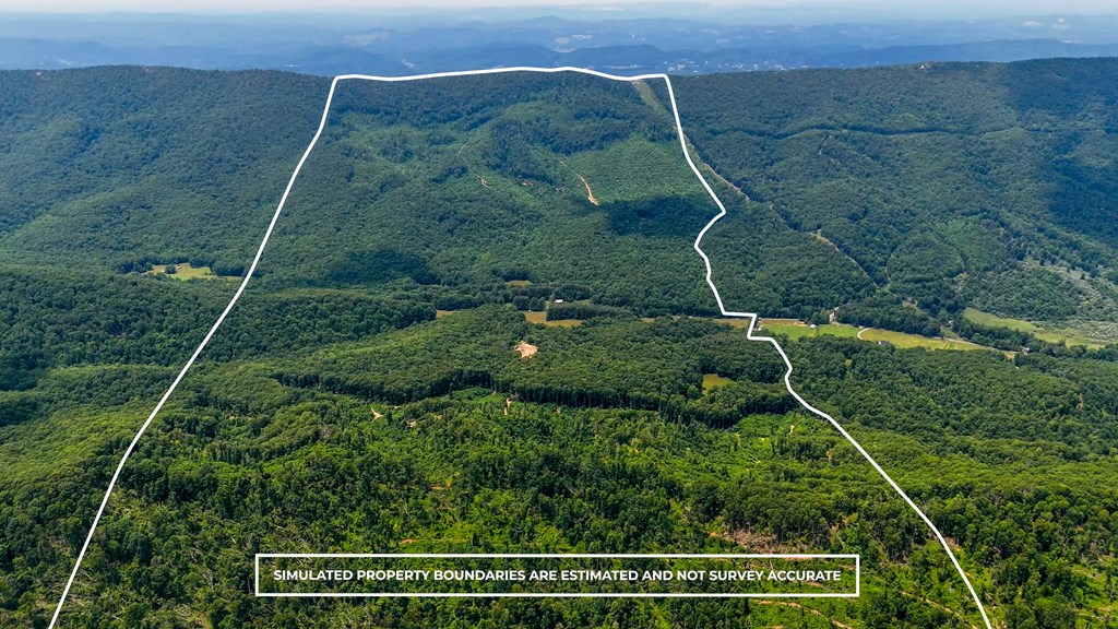 2486 Laurel Fork Rd.