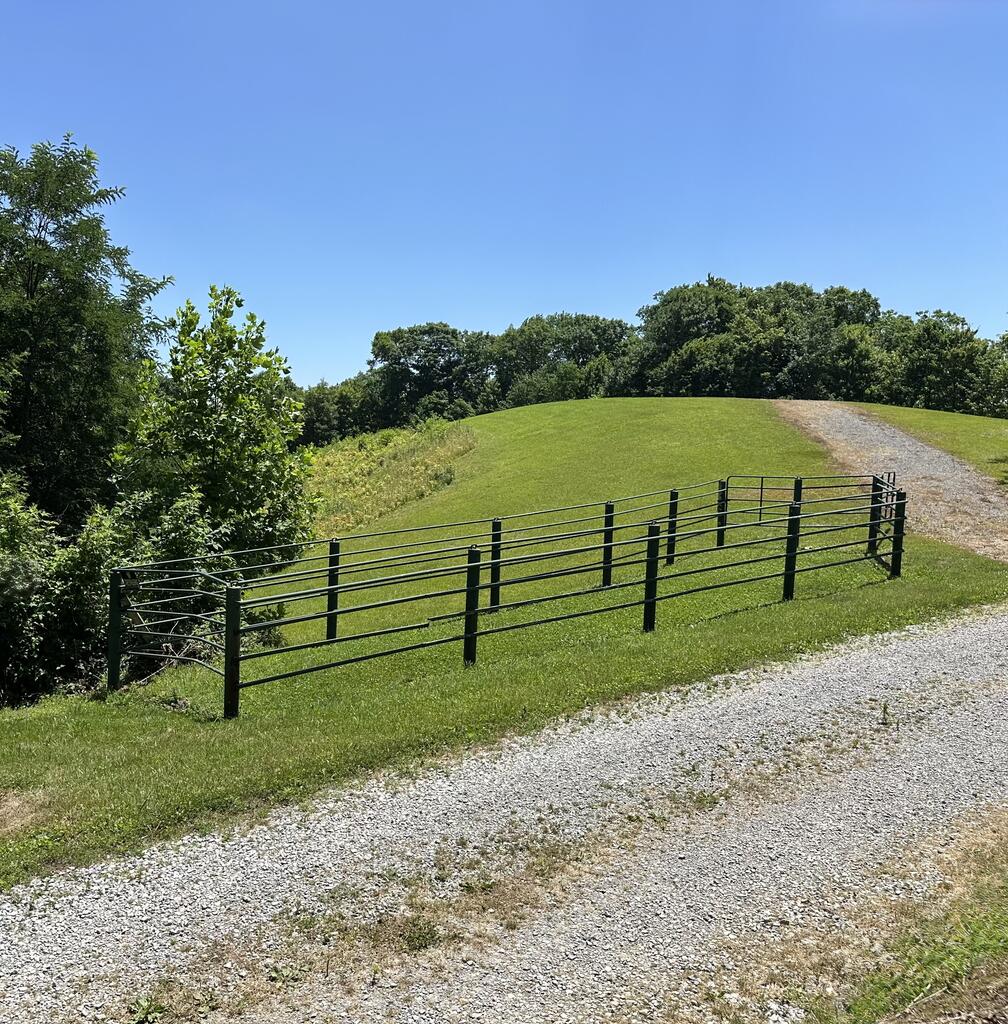Photo of 348 Coalpit Branch Drive #589, Dungannon, VA 24245 (MLS # 111584)