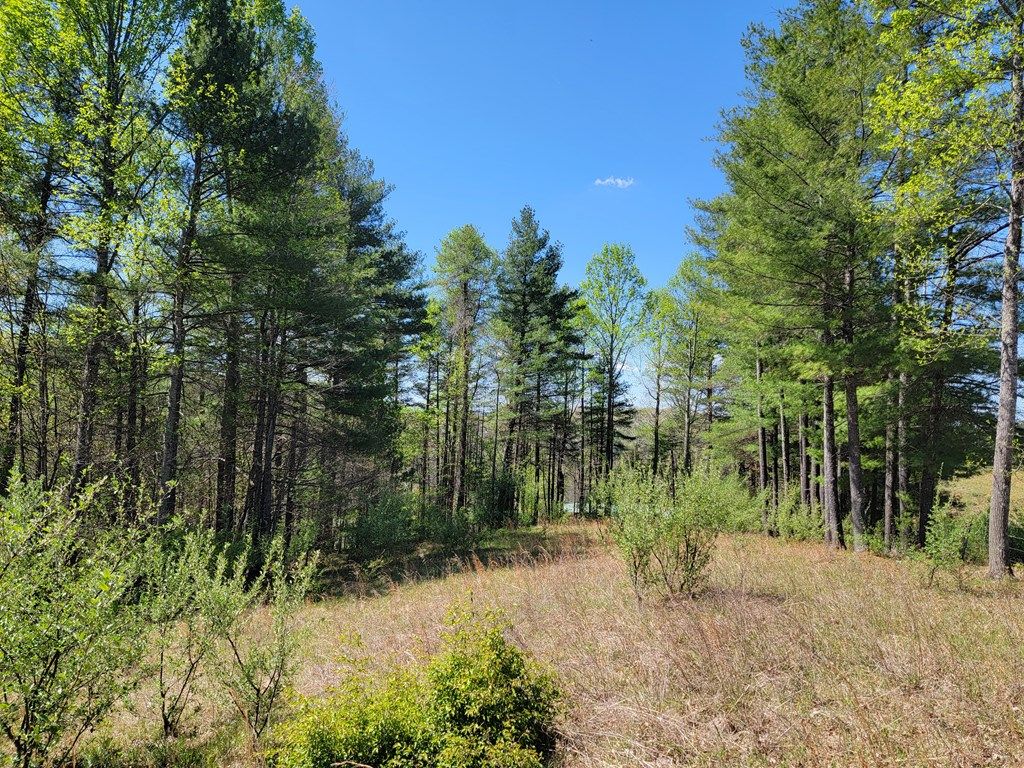 Photo of TBD Church Hill Rd #0, Independence, VA 24348 (MLS # 109770)