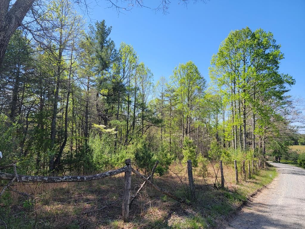 Photo of TBD Church Hill Rd #0, Independence, VA 24348 (MLS # 109770)