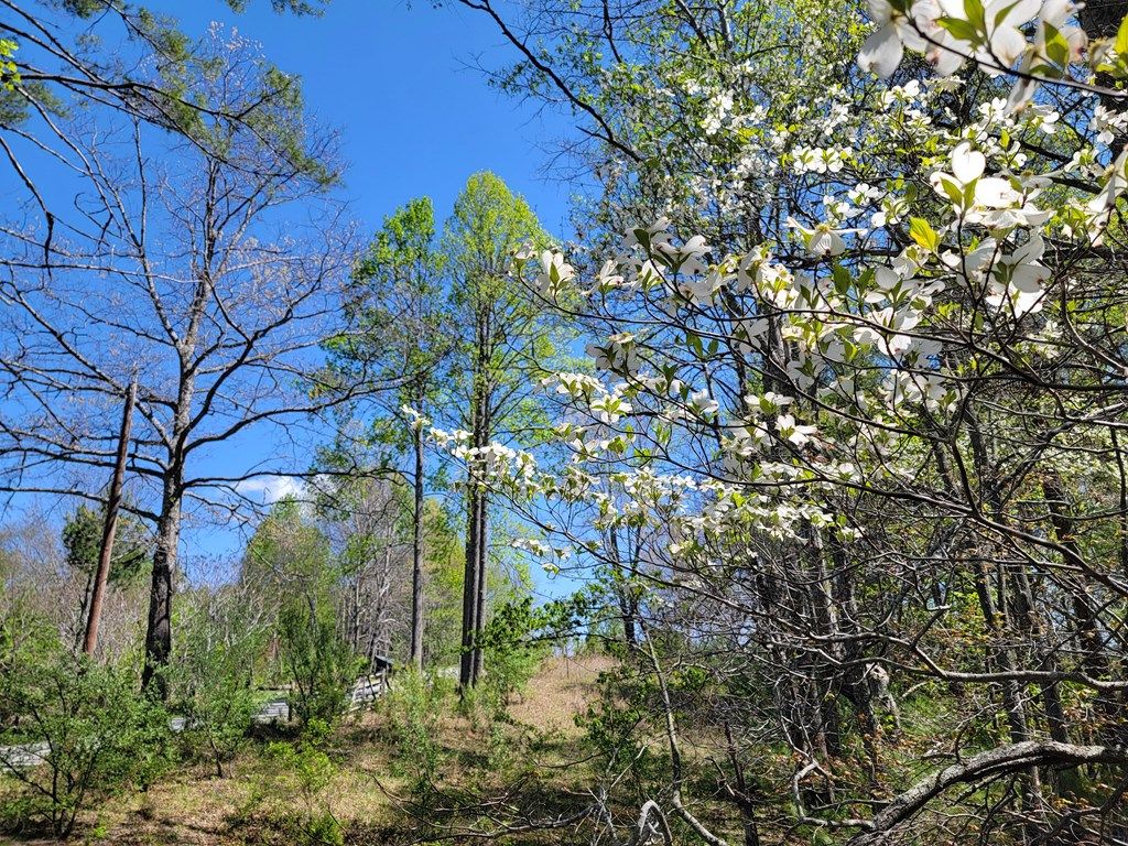 Photo of TBD Church Hill Rd #0, Independence, VA 24348 (MLS # 109770)