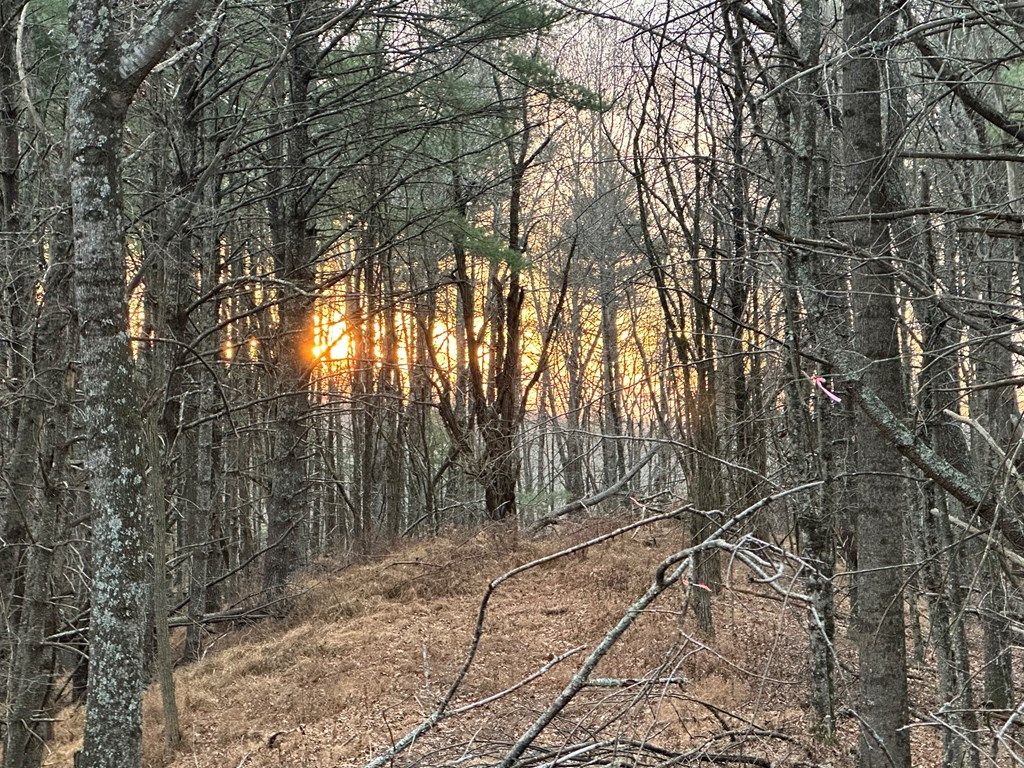 Photo of TBD River Beach Lane #11, Galax, VA 24333 (MLS # 104325)