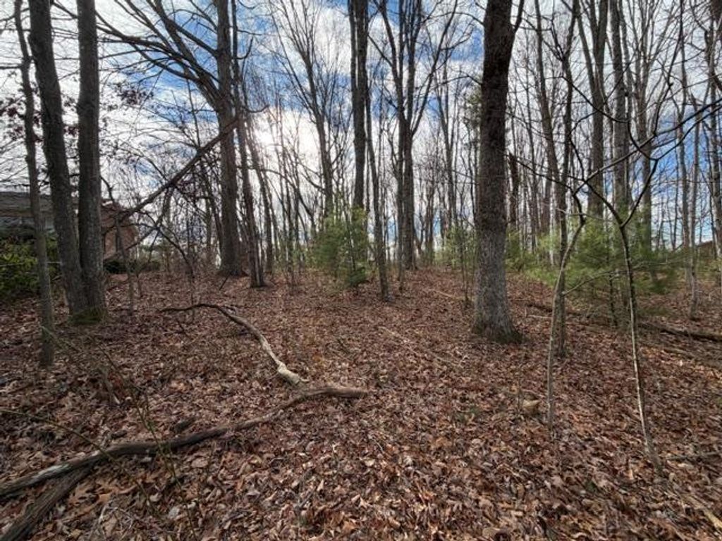 Photo of 34 Ivanhoe Road #3,4, Max Meadows, VA 24360 (MLS # 104448)