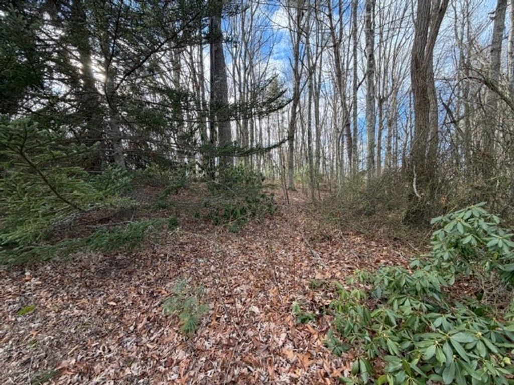 Photo of 34 Ivanhoe Road #3,4, Max Meadows, VA 24360 (MLS # 104448)