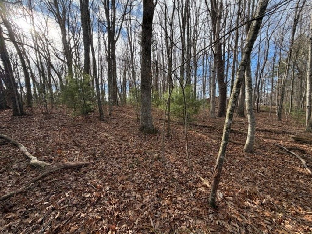 Photo of 34 Ivanhoe Road #3,4, Max Meadows, VA 24360 (MLS # 104448)