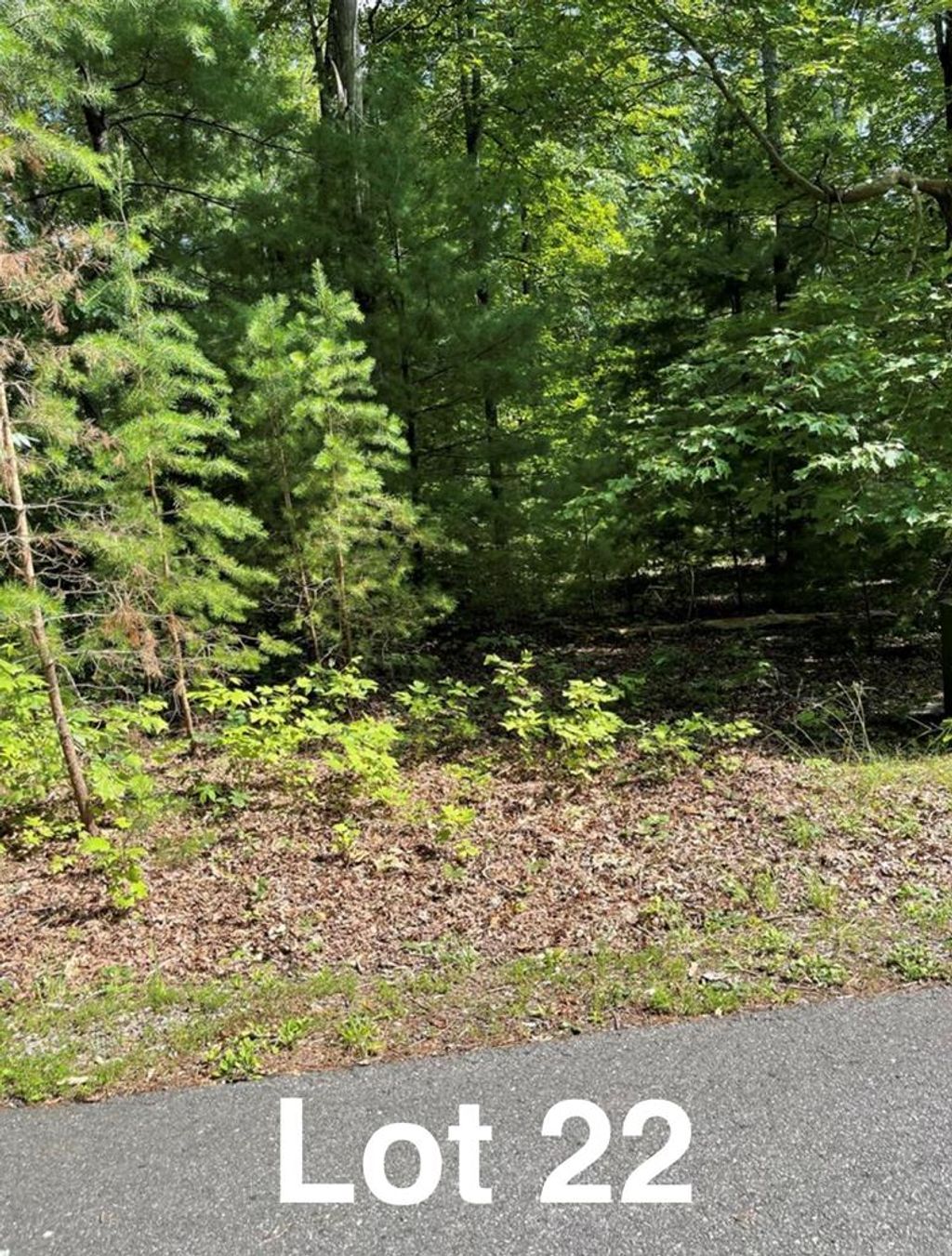 Photo of 22 Woods Haven Lane #22, Stuart, VA 24171 (MLS # 109073)