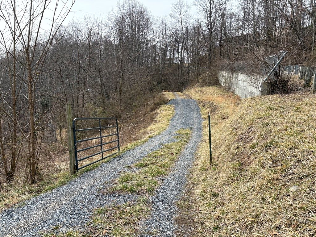 Photo of 610 Lick Skillet Rd, Saltville, VA 24370 (MLS # 105854)