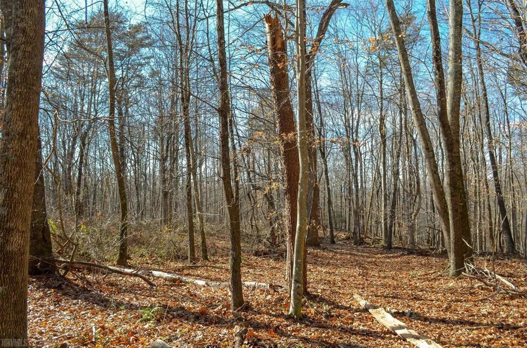 Lot 2&3 Brooksfield Rd