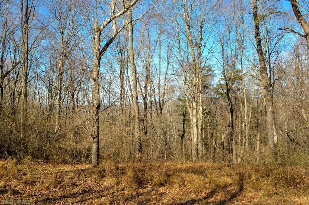 Lot 2&3 Brooksfield Rd