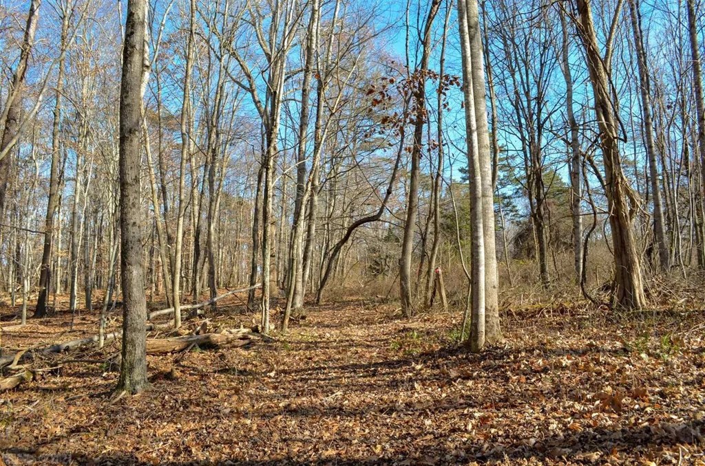 Lot 2&3 Brooksfield Rd