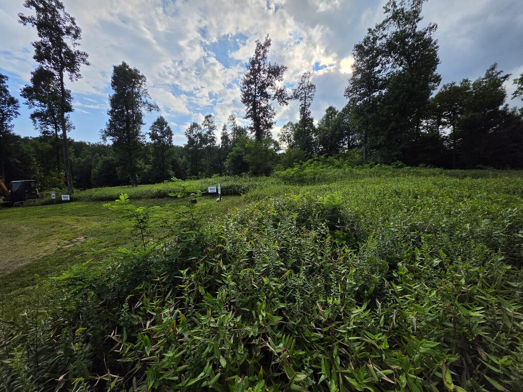 Photo of 0 W Pheasant Chase, Seven Springs Pkwy #16, 17, Fancy Gap, VA 24053 (MLS # 111462)